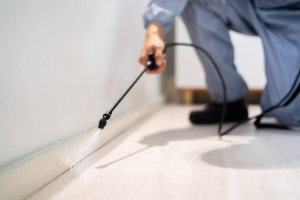 Licensed Termite Control service in Callahan, FL - Nex Pest Control