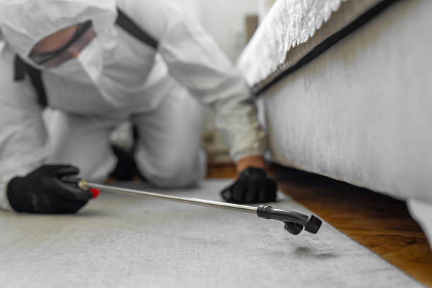 Professional Termite Control technician working in Callahan, FL