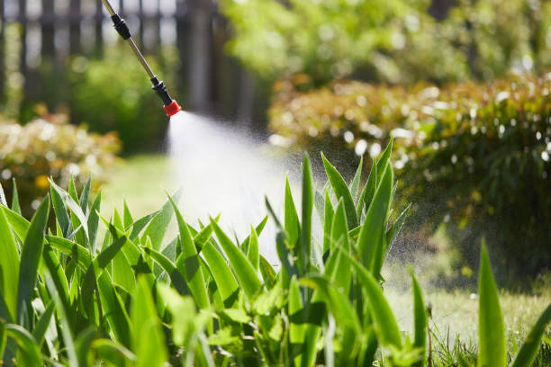 24/7 Emergency Termite Control experts in Callahan, FL