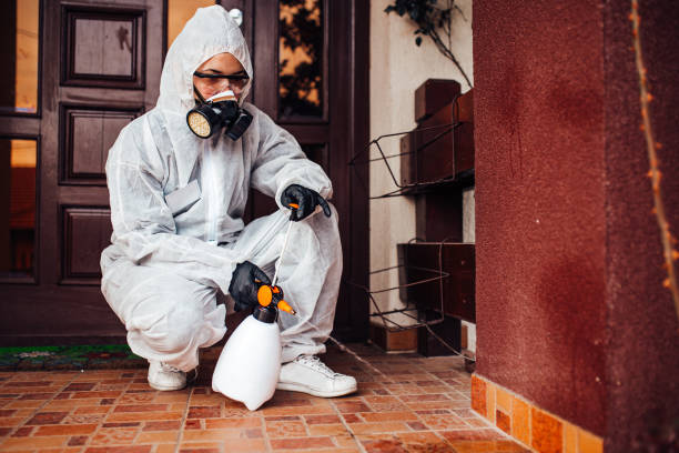 Reliable Termite Control contractor in Callahan, FL by Nex Pest Control