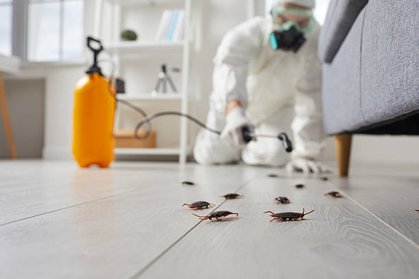 Affordable Termite Control solutions in Callahan, FL